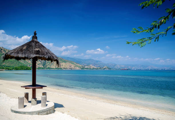 wisata dili
